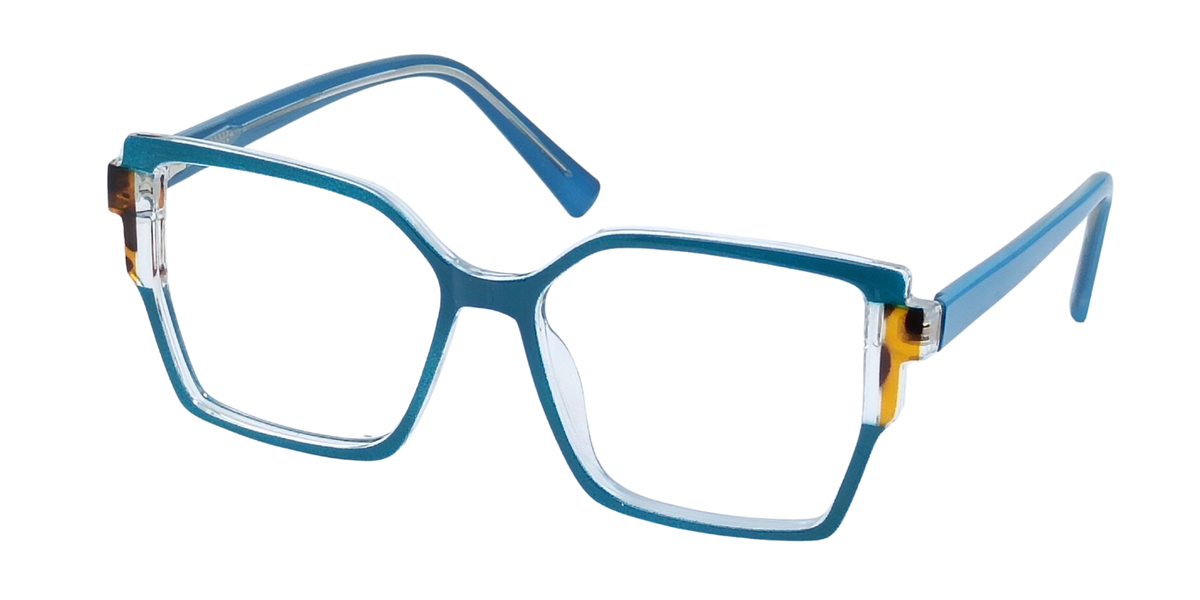 Frame + lenses 1