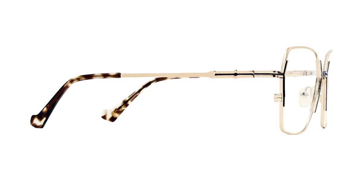 Fashionista Aura ch9022 - Gold/Brown Frame