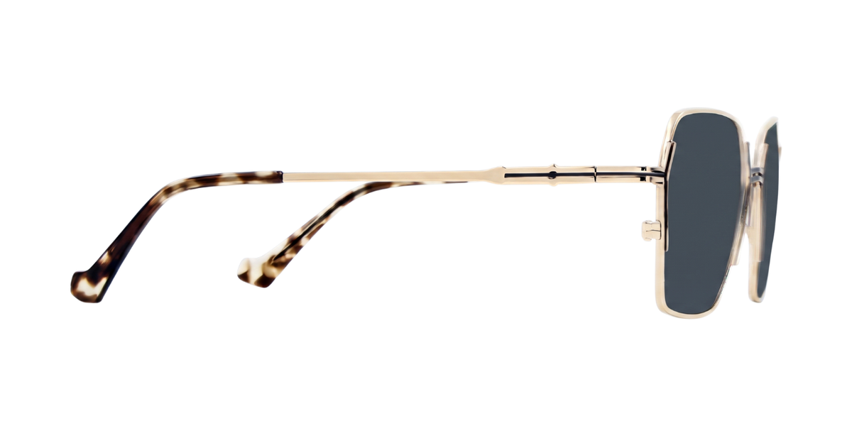 Fashionista Aura ch9022 - Gold/Brown Frame