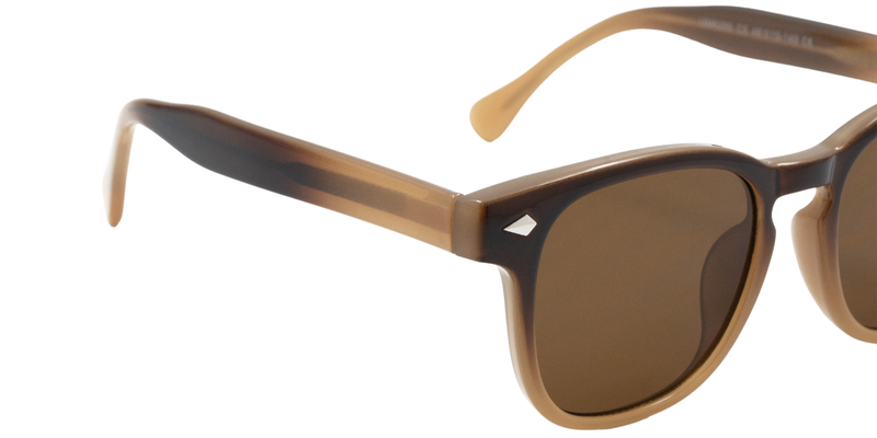 Full Rim Square Classic sunglasses